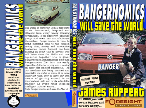 Bangernomics Save World low res